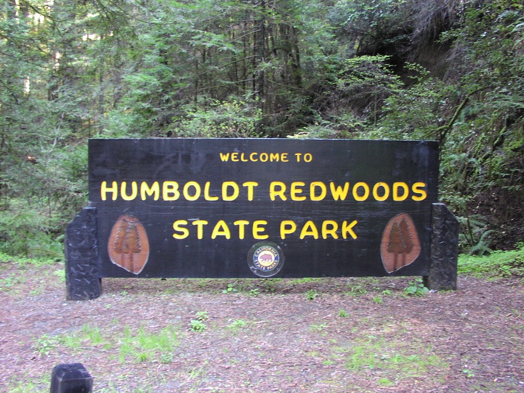 CA-254 North - Humboldt Redwoods SP