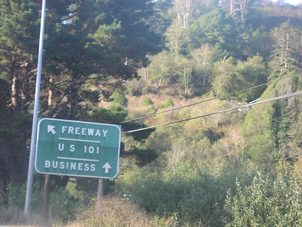 US-101 North Exit 718