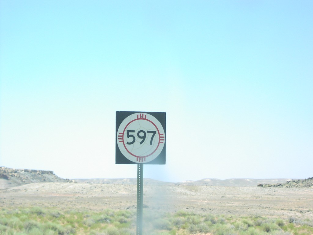 NM-597 at Four Corners