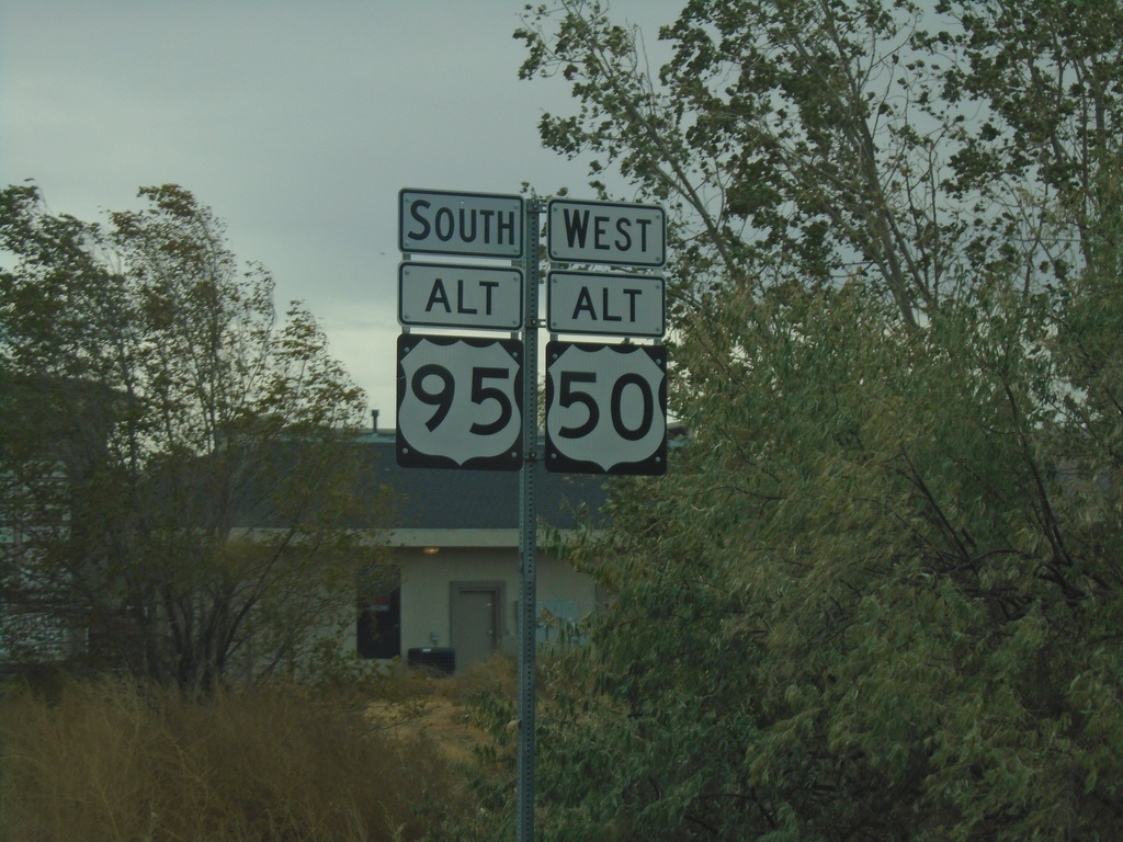 Alt. US-50 West/Alt. US-95 South - Fernley