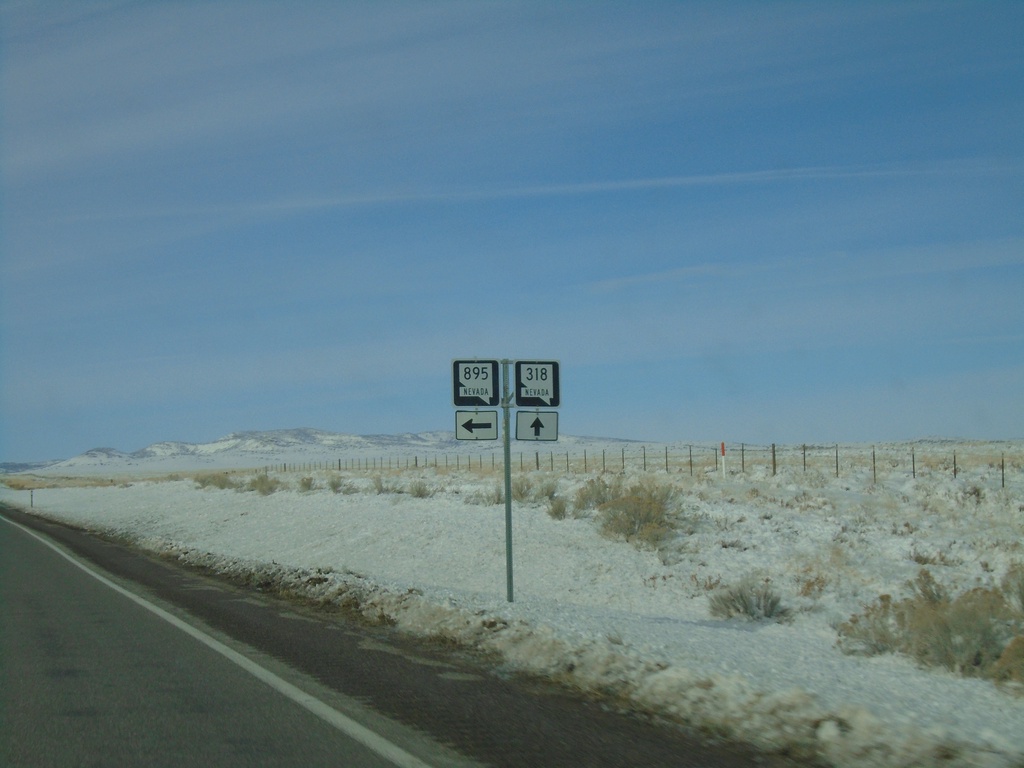 NV-318 North at NV-895