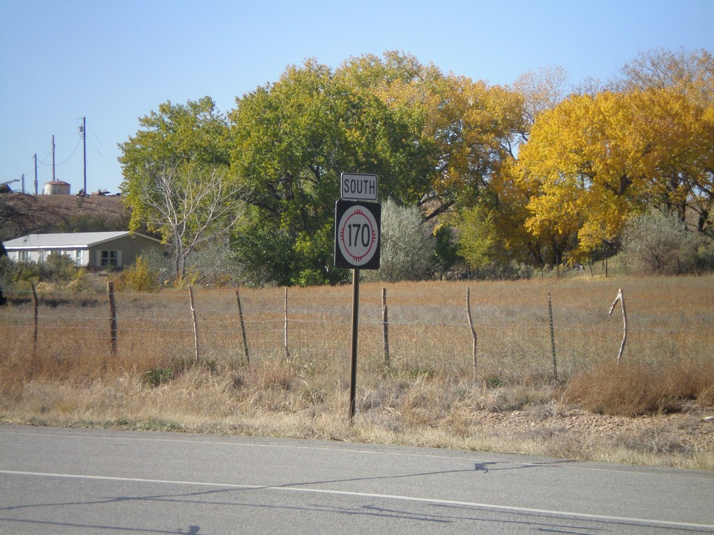 NM-170 South