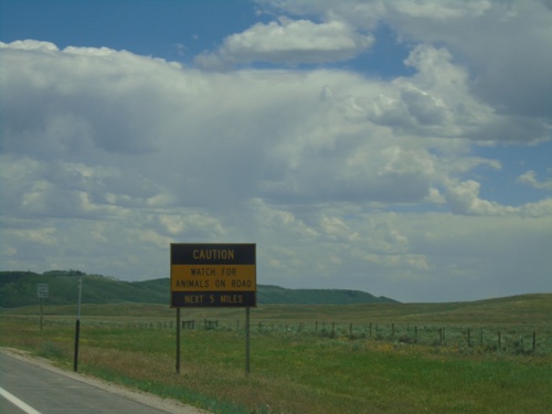 US-189 South/US-191 South - Wildlife on Roadway