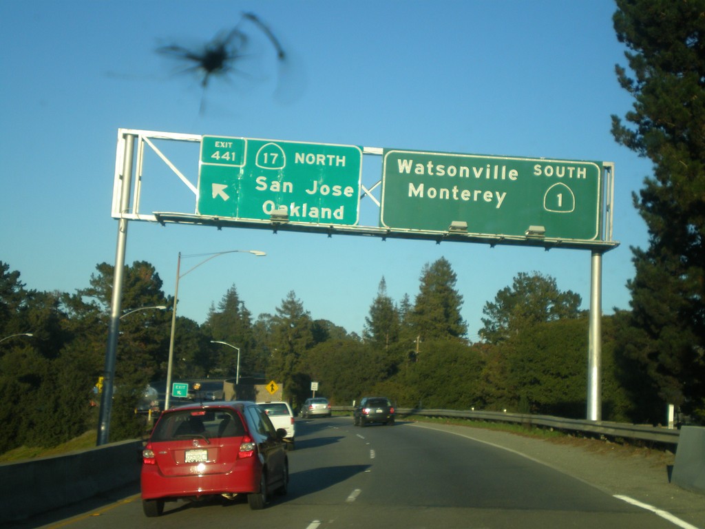 CA-1 South - Exit 441