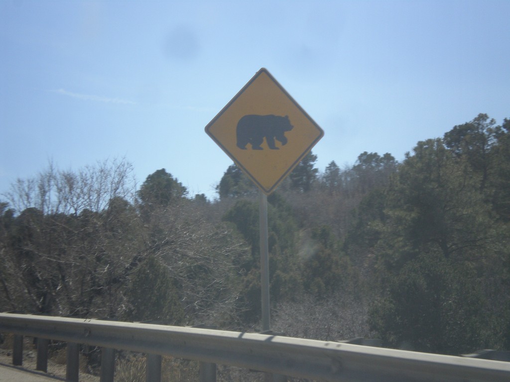 I-25 South - Bear Crossing