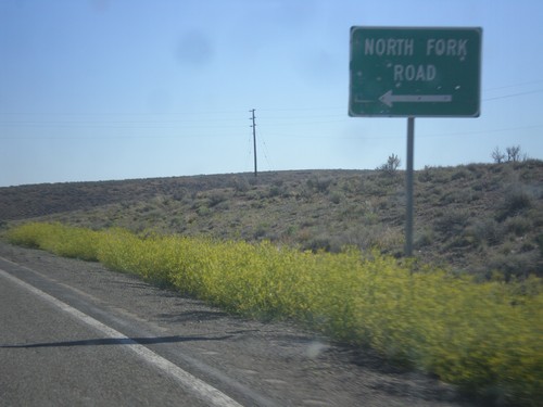 NV-225 North - North Fork Road