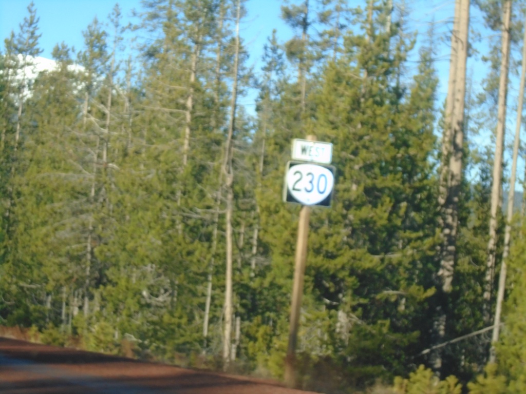 OR-230 West - Douglas County