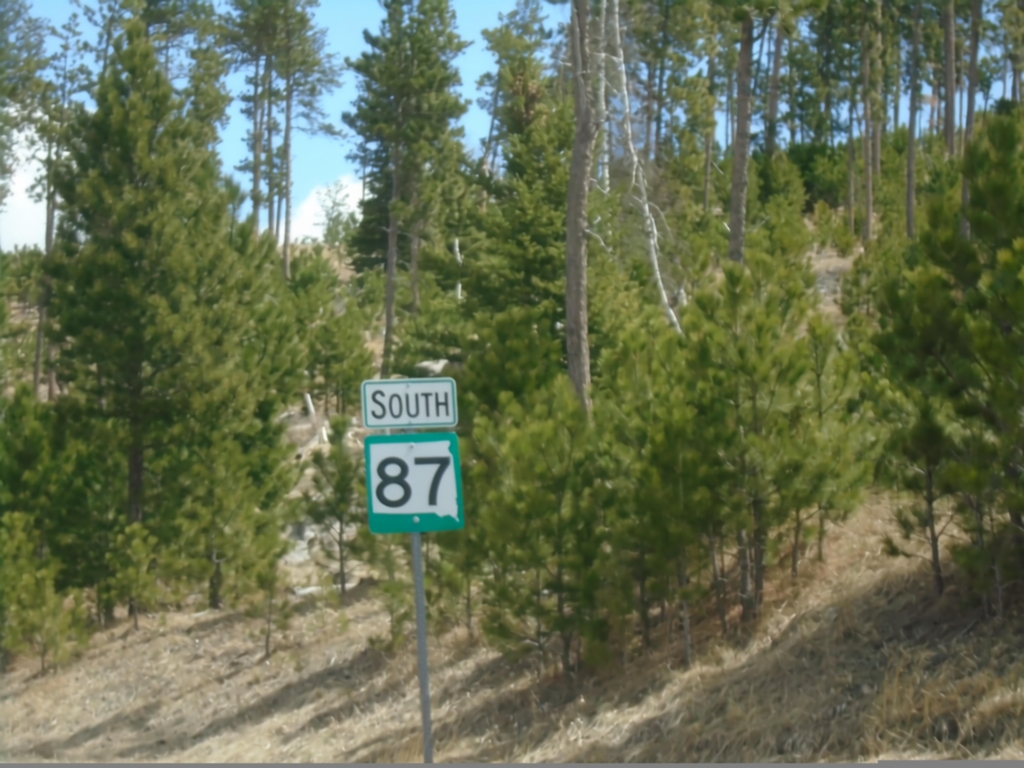 SD-87 South - Custer State Park