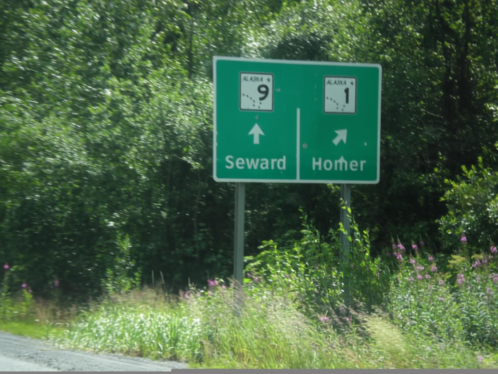 AK-1 South/AK-9 South Junction