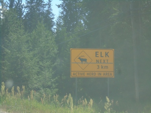 BC-3A West - Elk Next 3km