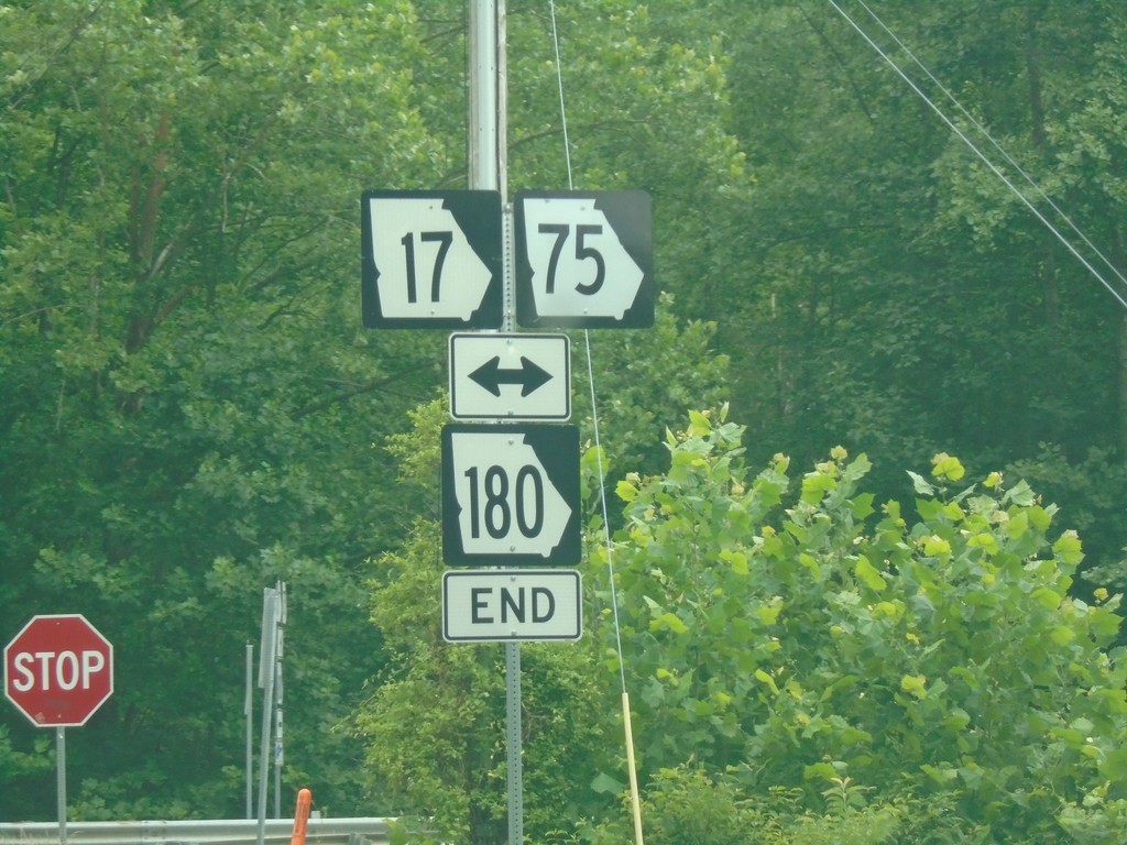 End GA-180 East at GA-17/GA-75