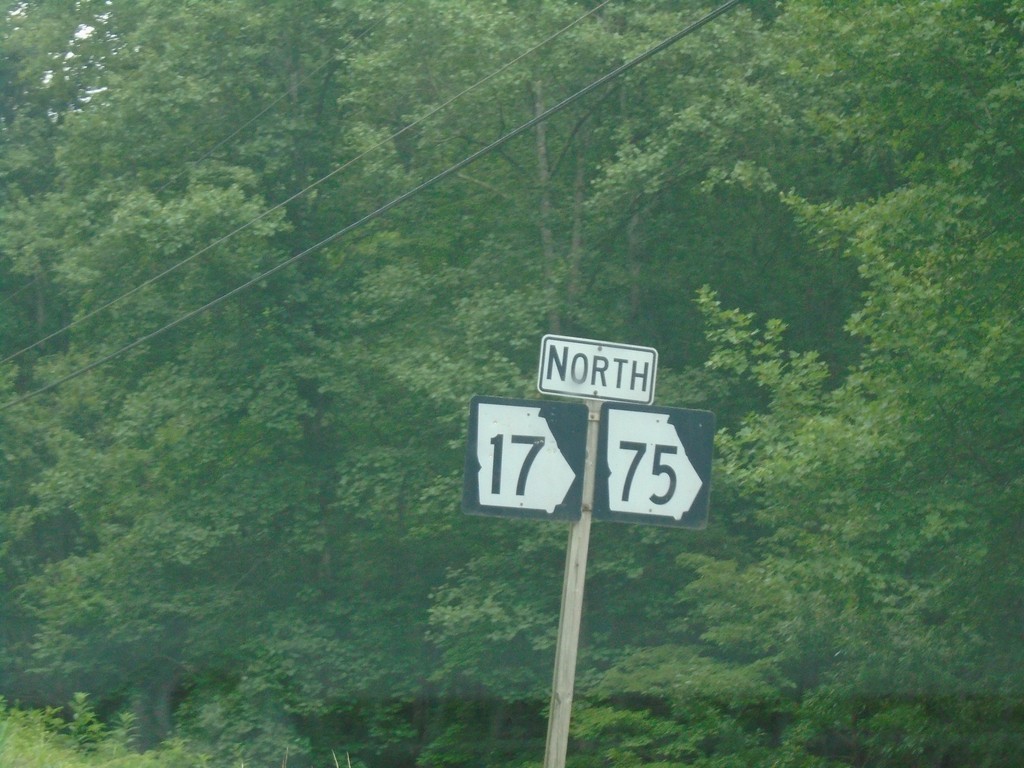 GA-17 North/GA-75 North - Towns County