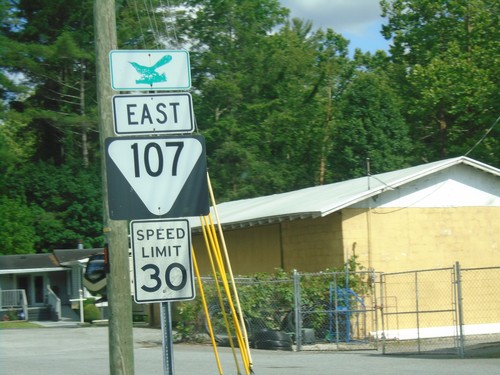 TNS-107 East - Unicoi