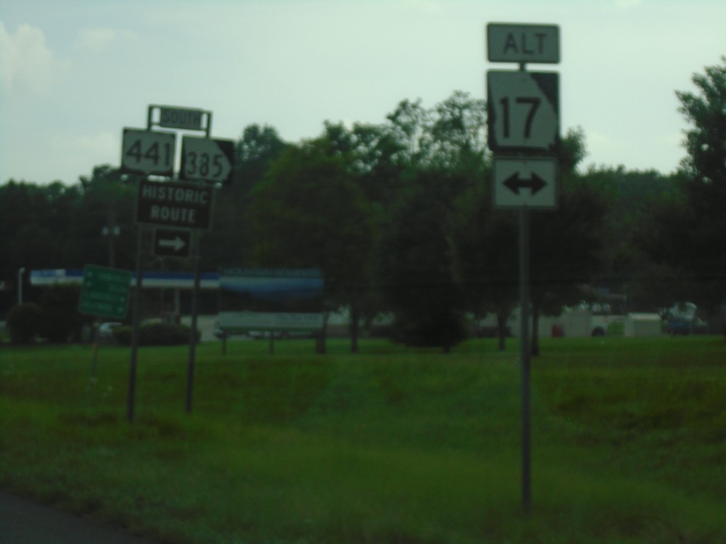 US-23/US-441/GA-15 South at Alt. GA-17/Bus. US-441/GA-385