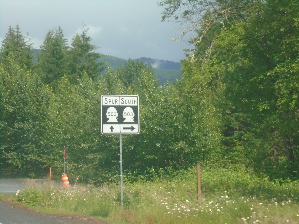 WA-503 South at WA-503 Spur