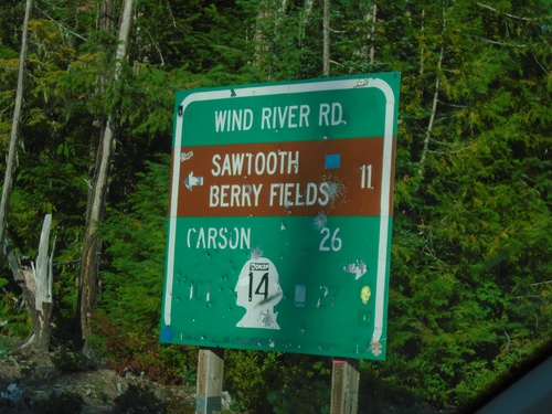 Curly Creek Road at Wind River Road