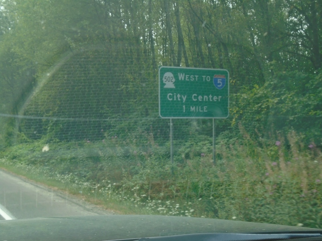 WA-503 South Approaching WA-502