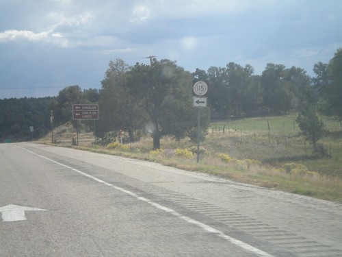 US-84 South at NM-115 East