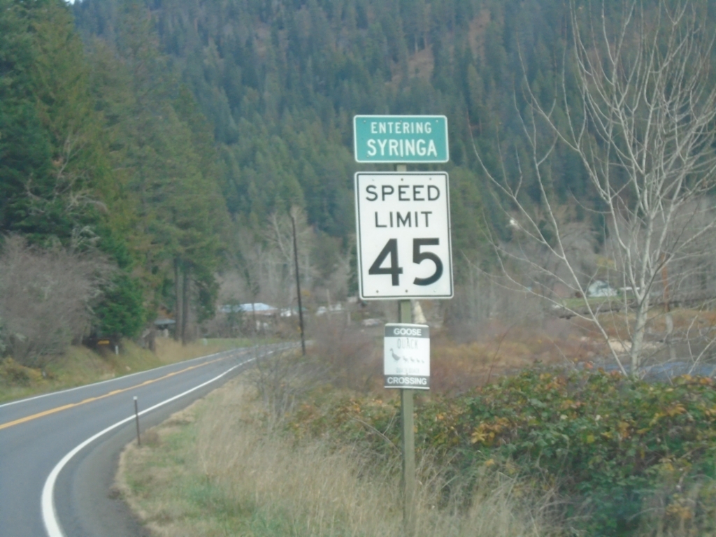 US-12 East - Syringa