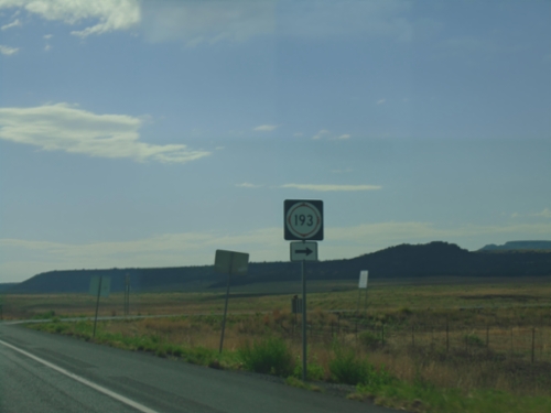 US-64 East/US-87 South at NM-193