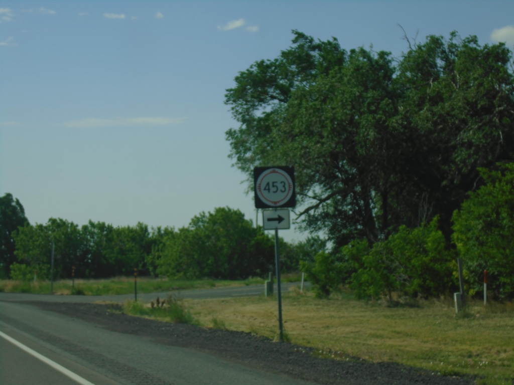 US-64 East/US-87 South at NM-453