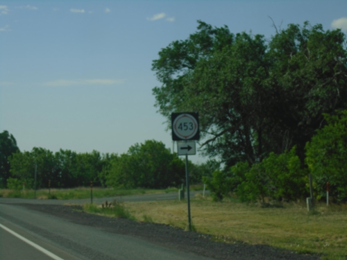 US-64 East/US-87 South at NM-453