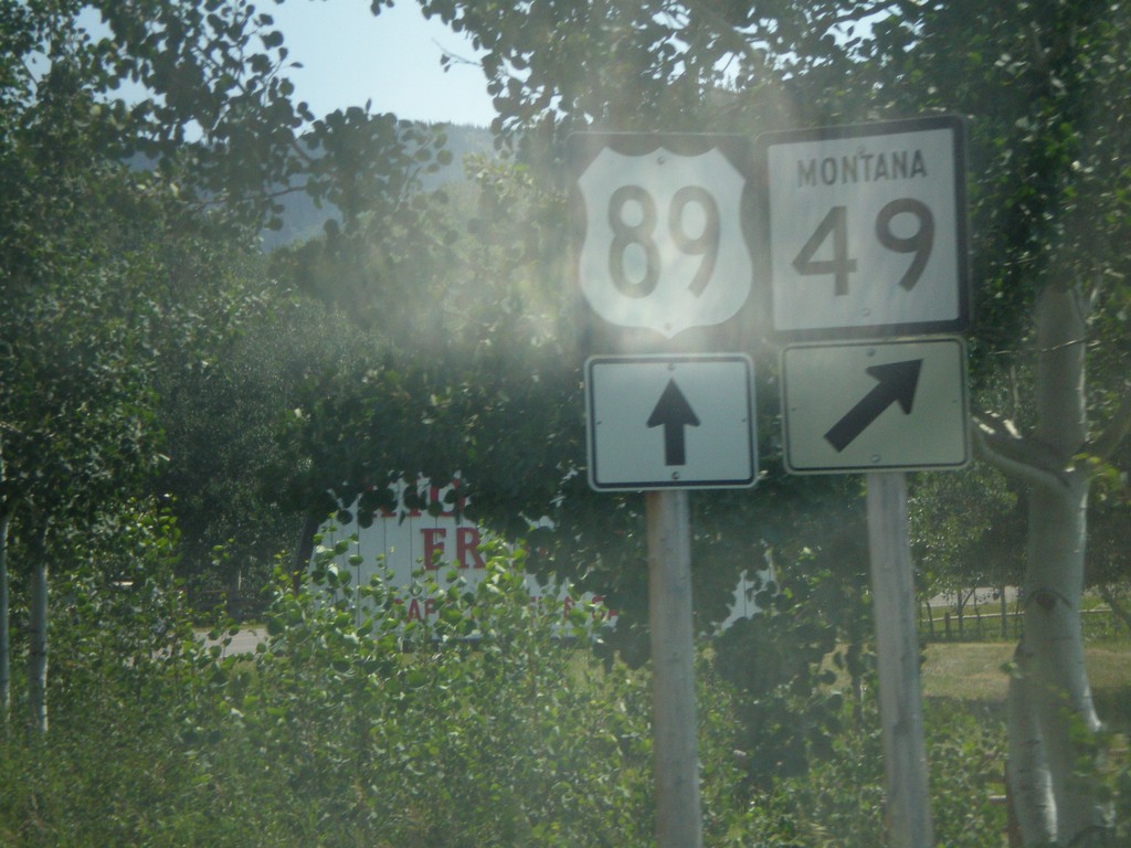 US-89 South at MT-49 South